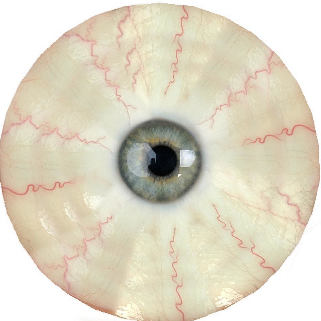 Womens Sweater Rigged 3d model Low-poly 3D model_19