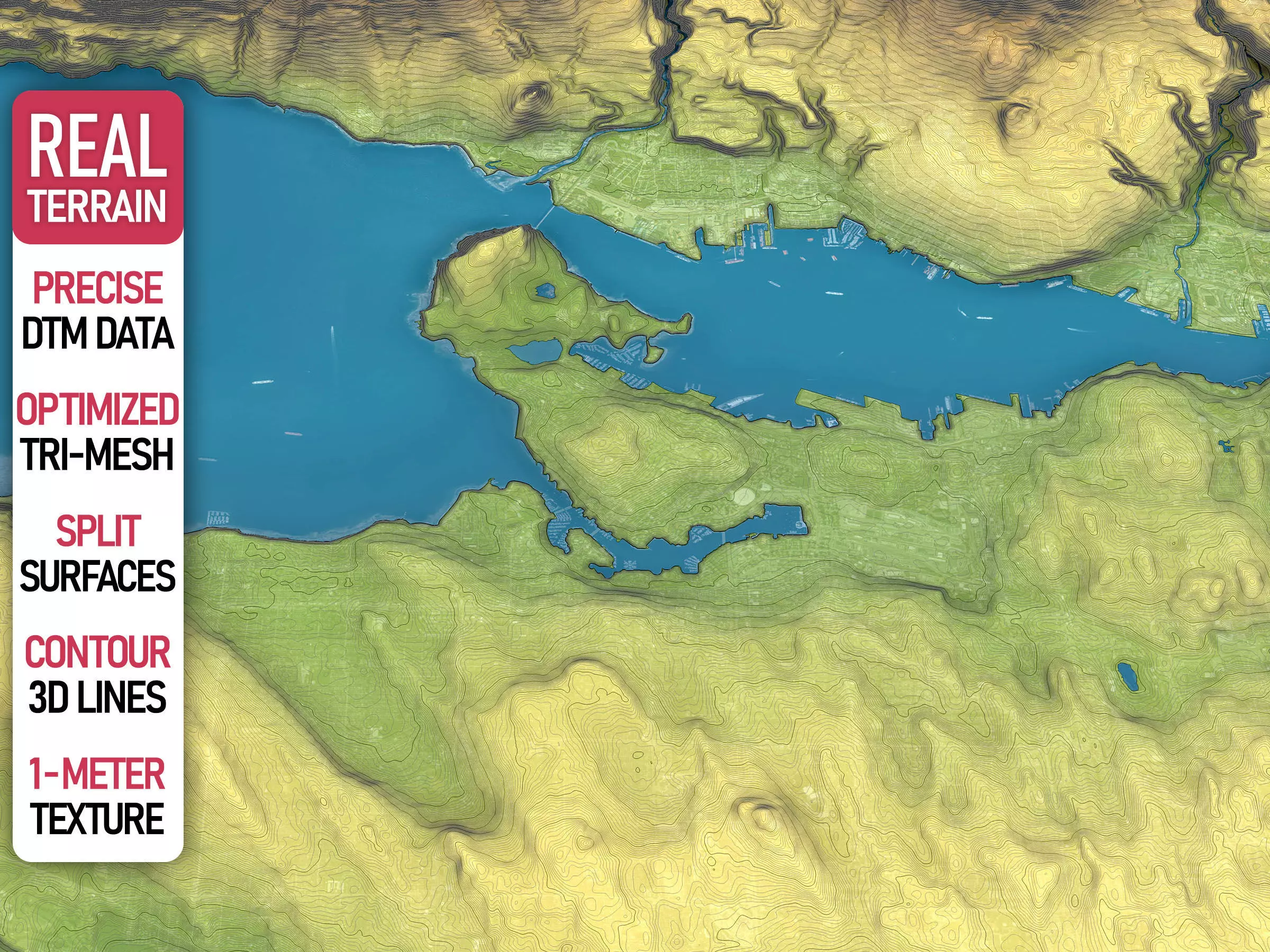 Vancouver - Topography Terrain Low-poly 3D model_0