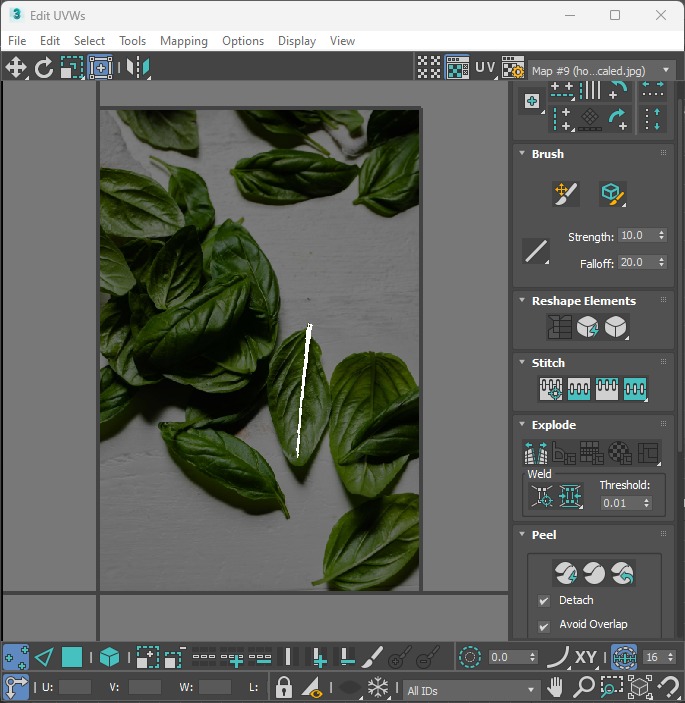 Bowl of Caprese Skewers 3D model_37