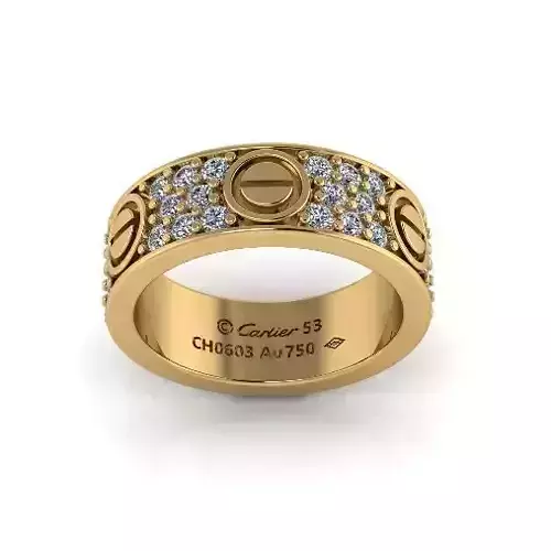 Bolt ring Model 6767