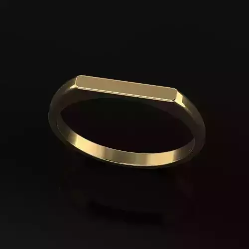 Ring Model 6765