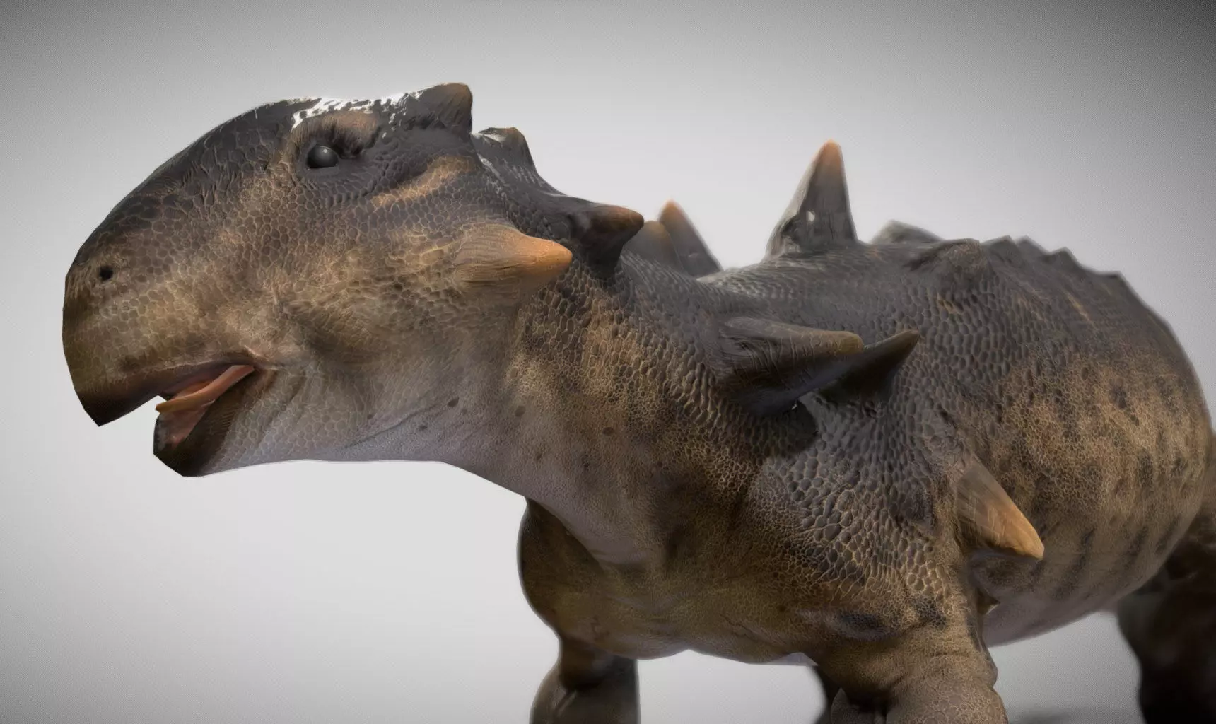 Euoplocephalus Low-poly 3D model