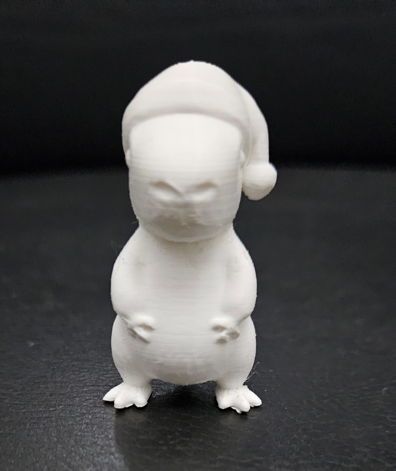Xmas  Capybara 3D print model_12