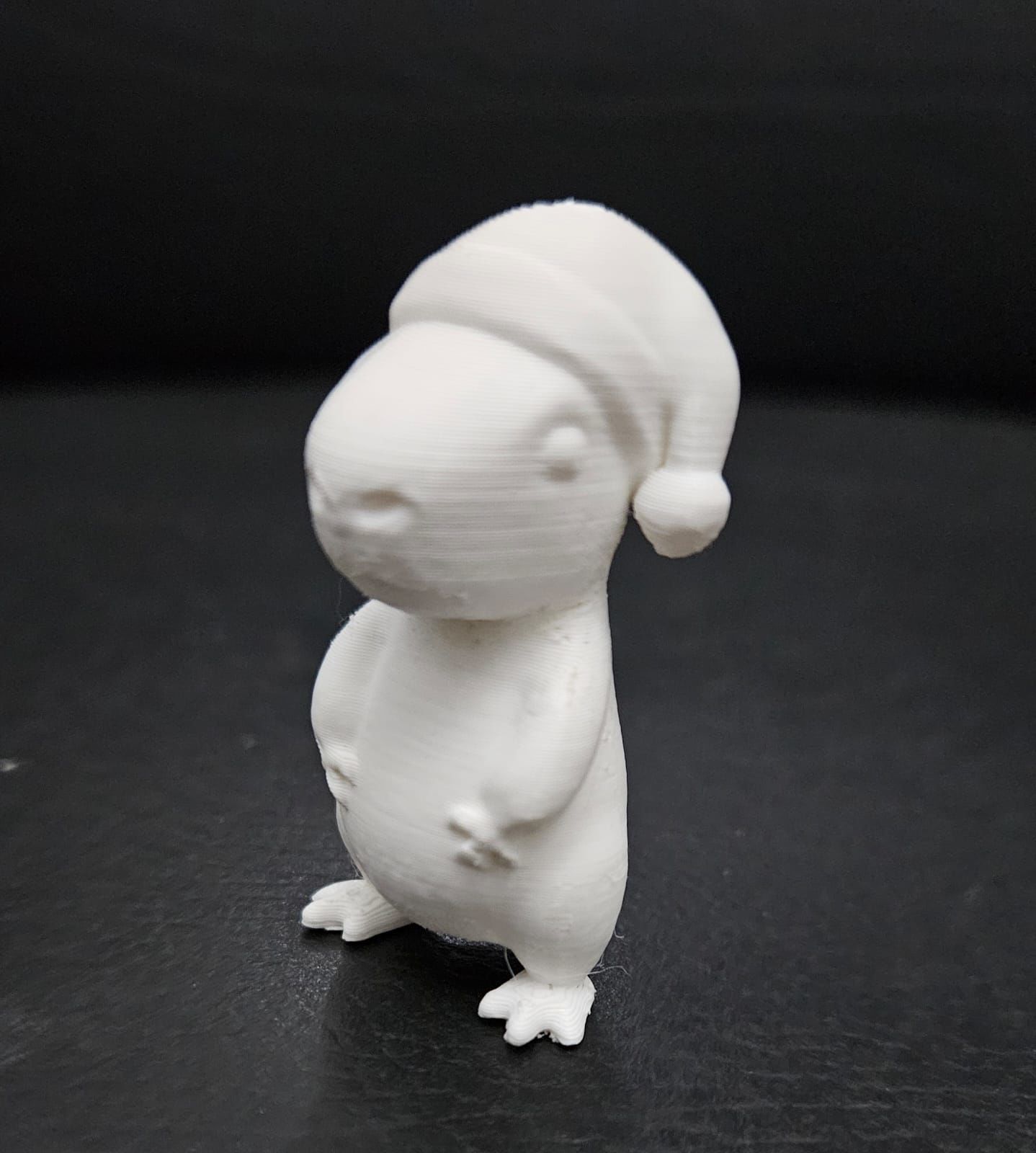 Xmas  Capybara 3D print model_5