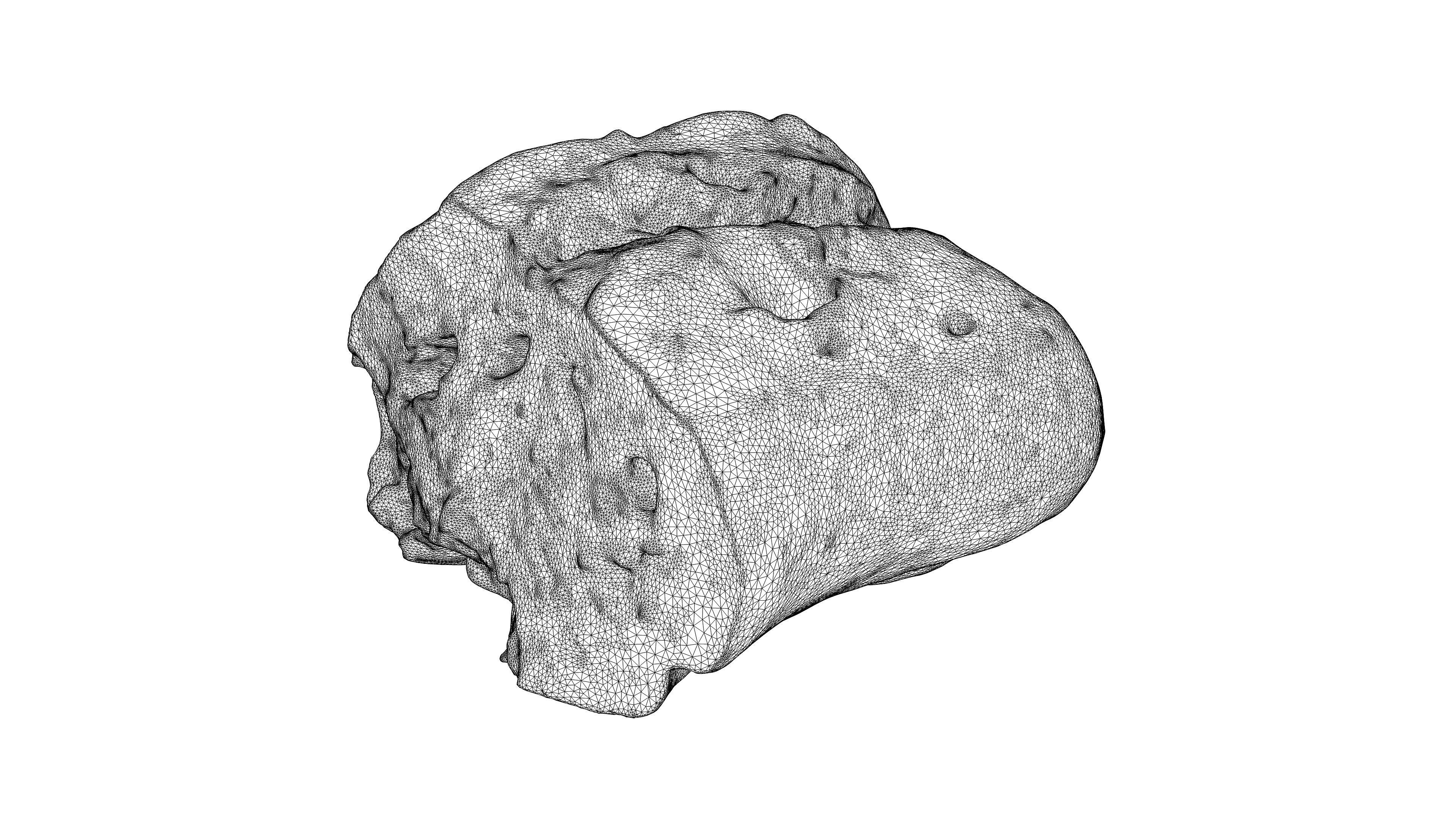 Photorealistic 3D scan of half a rye bread Low-poly 3D model_24