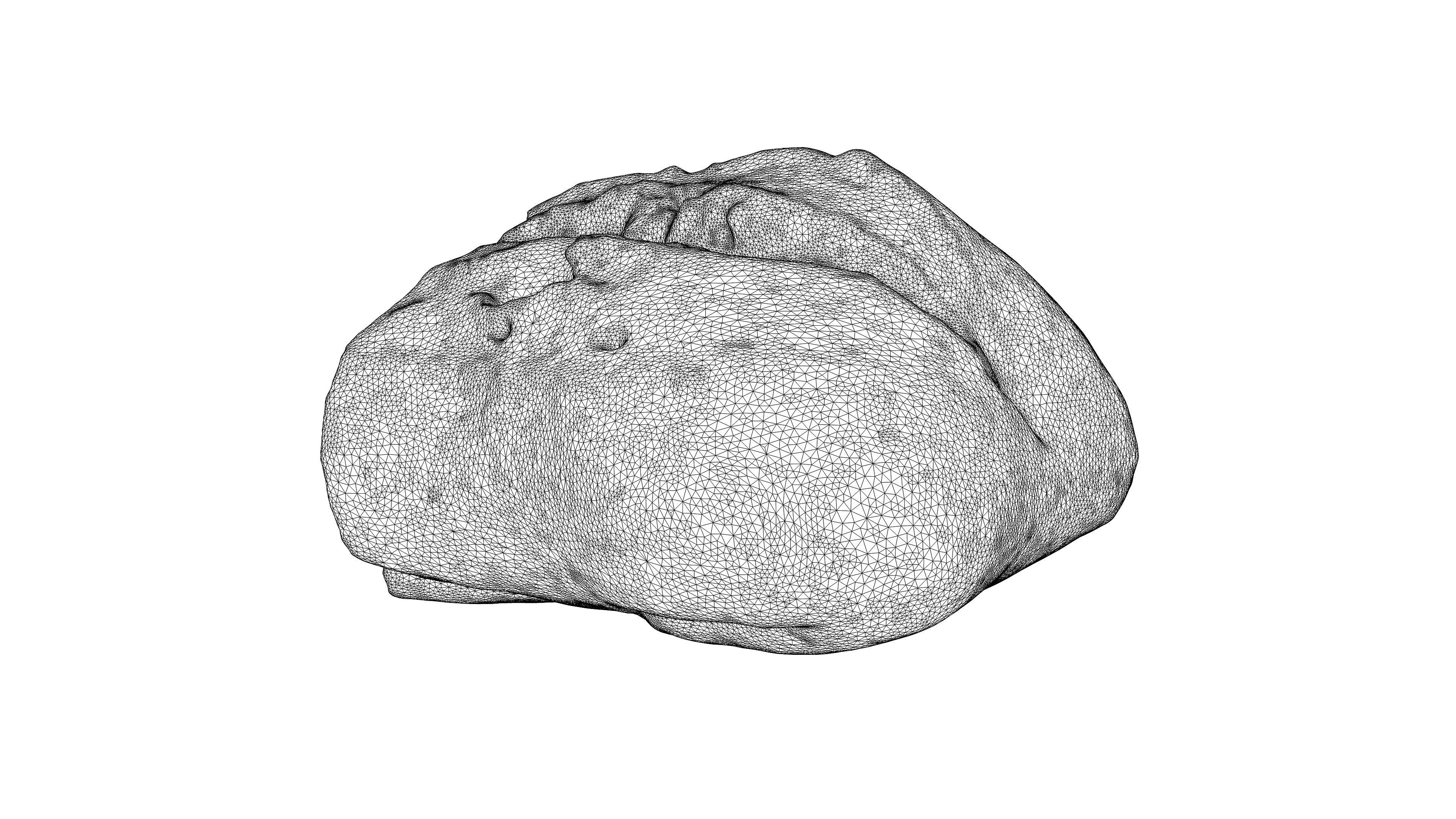 Photorealistic 3D scan of half a rye bread Low-poly 3D model_27