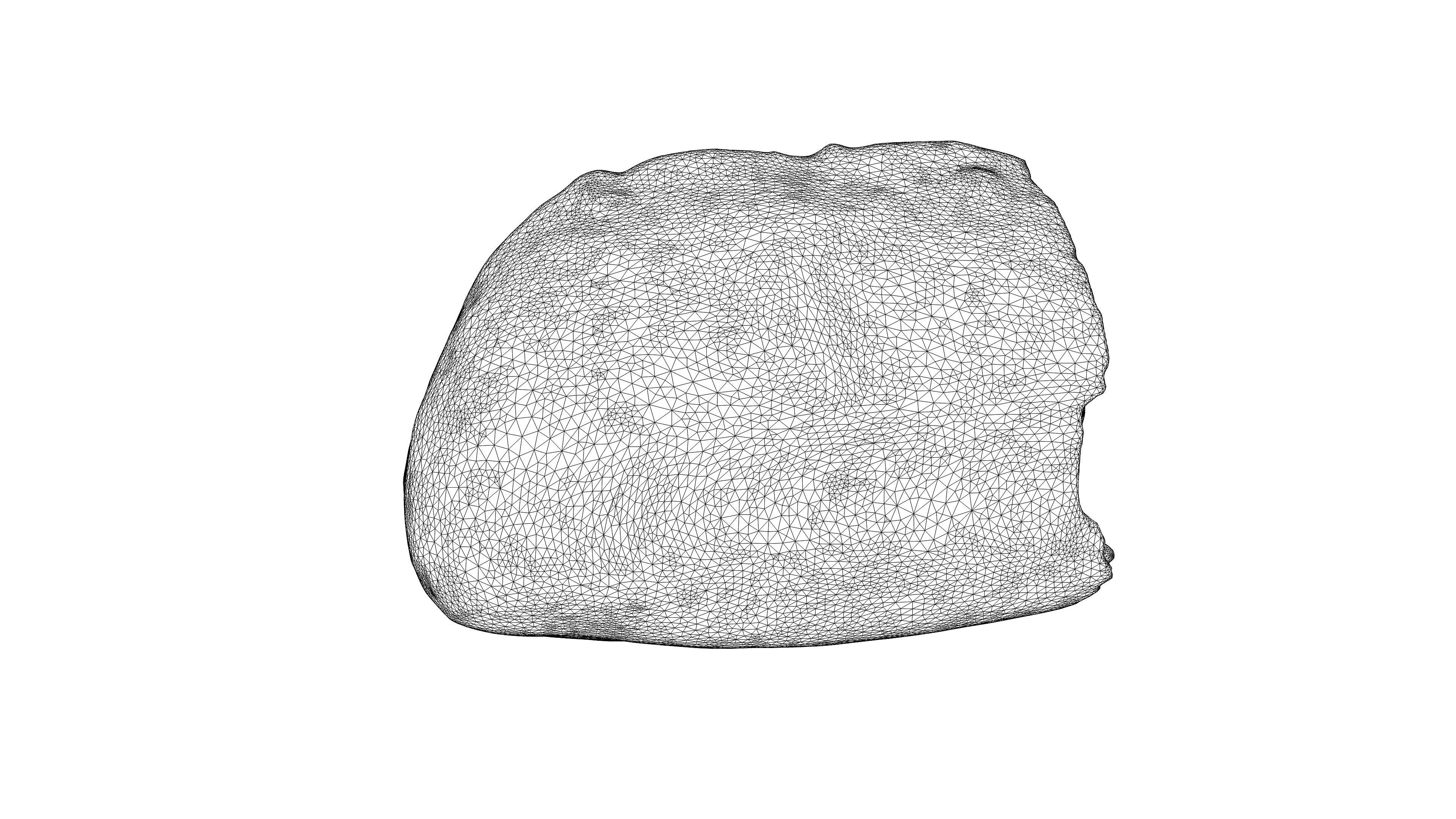 Photorealistic 3D scan of half a rye bread Low-poly 3D model_23
