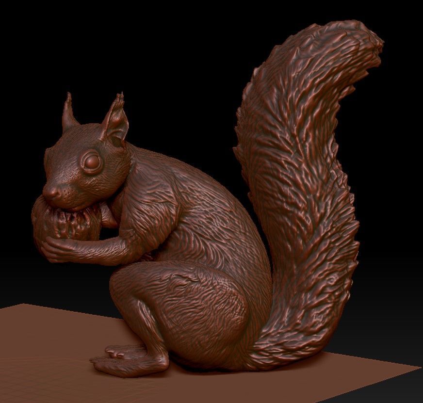 squirrel 3D print model_1