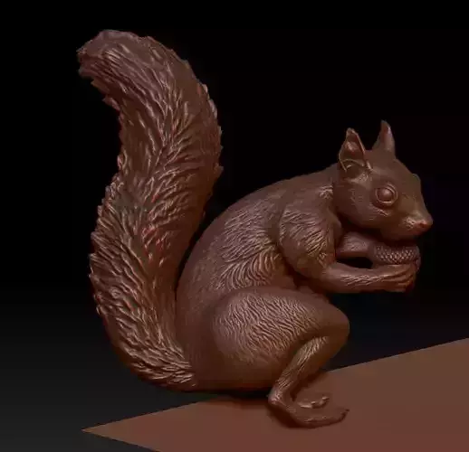 squirrel 3D print model
