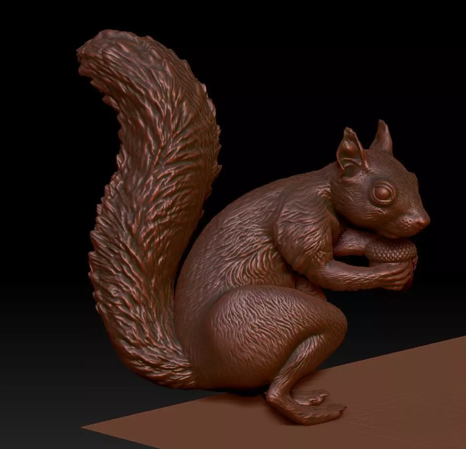 squirrel 3D print model_0