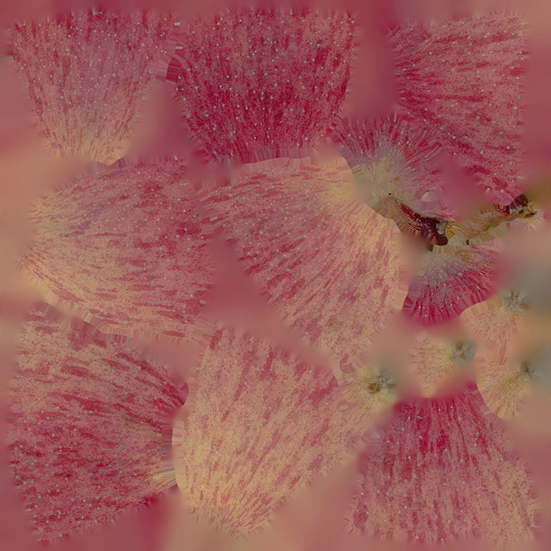 Anydrafts Apple 08 Low-poly 3D model_1