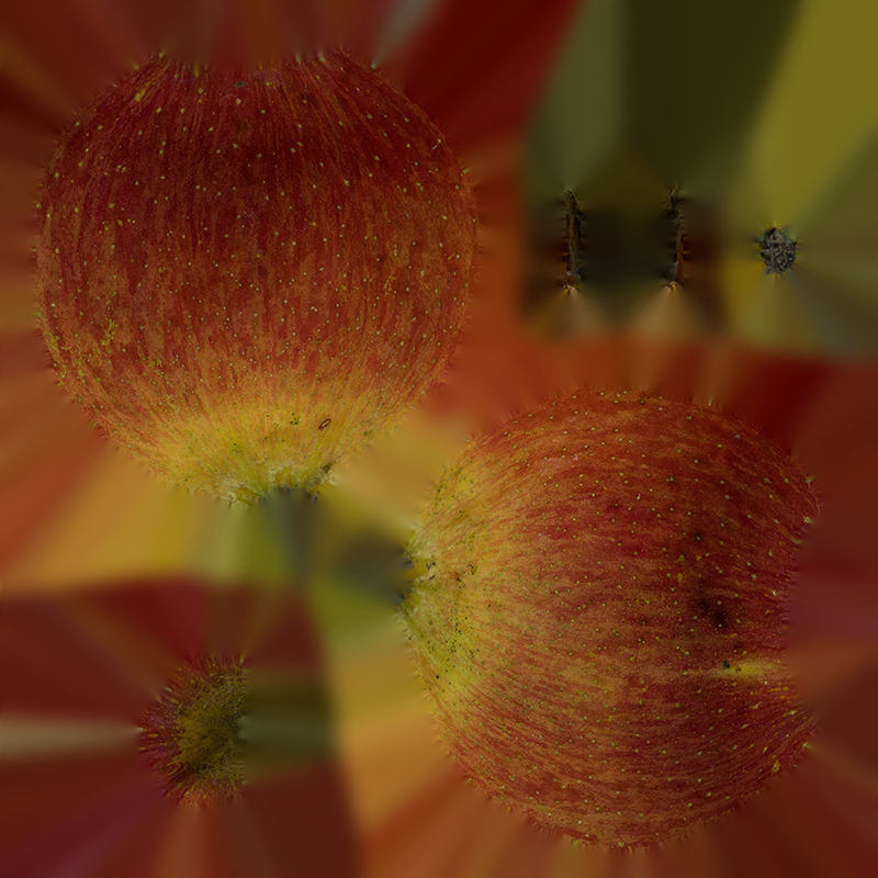 Anydrafts Apple 09 Low-poly 3D model_1