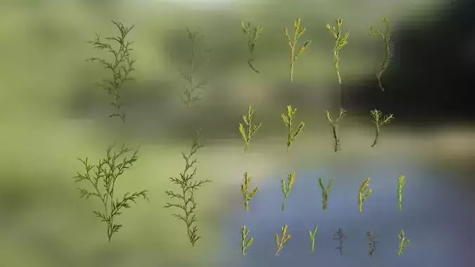 4K Chamaecyparis Leaves Pack