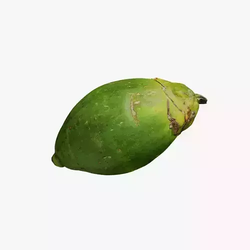 Anydrafts Areca catechu 02 Low-poly 3D model
