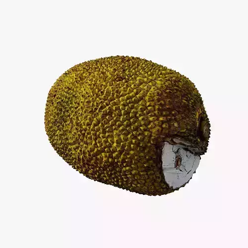 Anydrafts Artocarpus heterophyllus 01