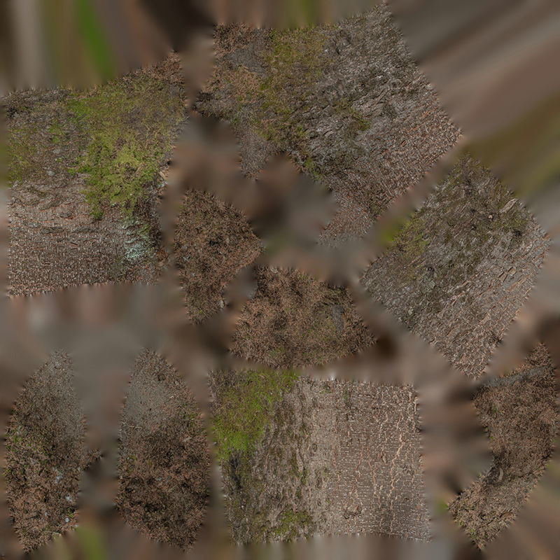 Anydrafts Abies fabri Trunk 11 Low-poly 3D model_1