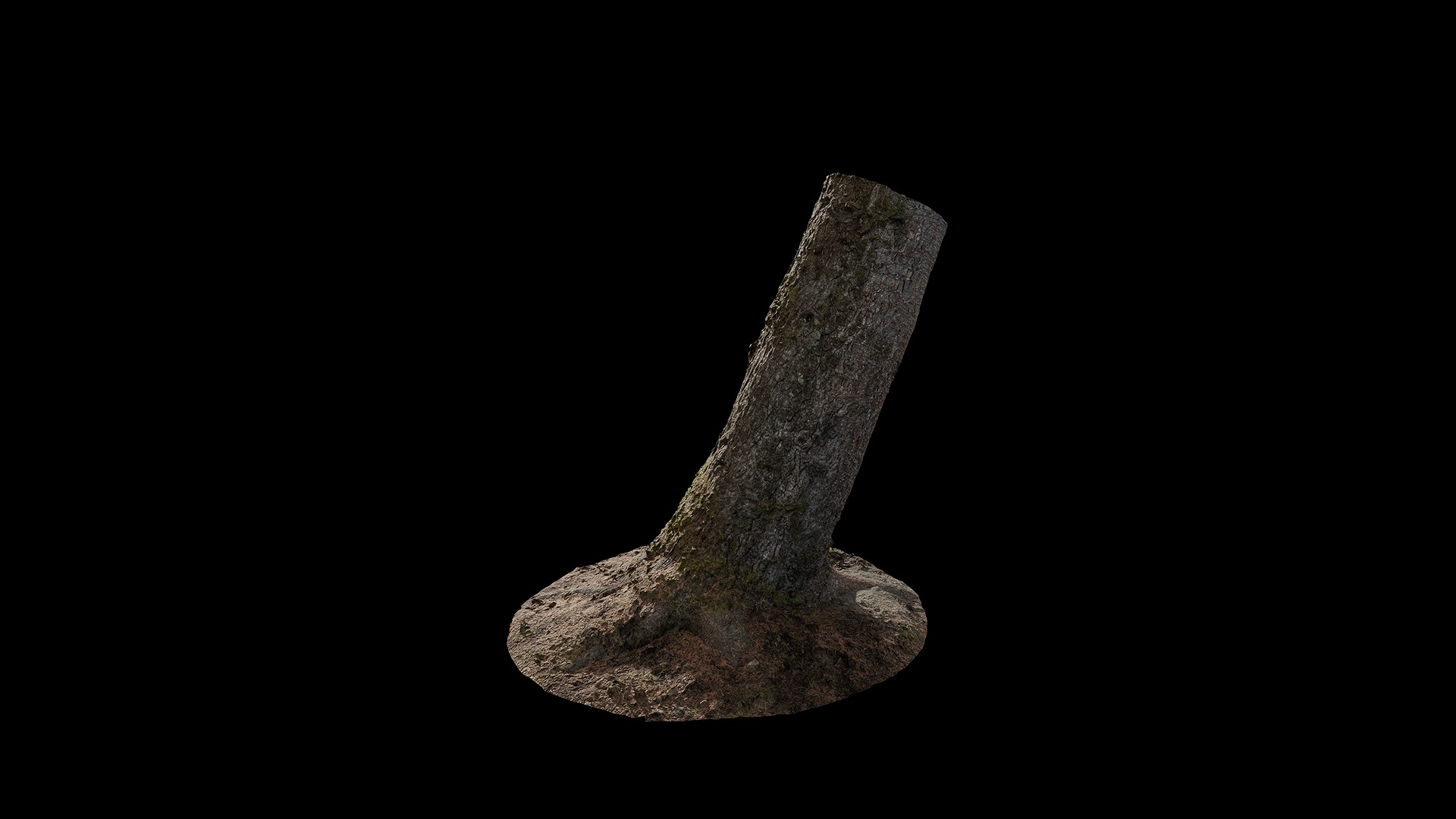 Anydrafts Abies fabri Trunk 11 Low-poly 3D model_2