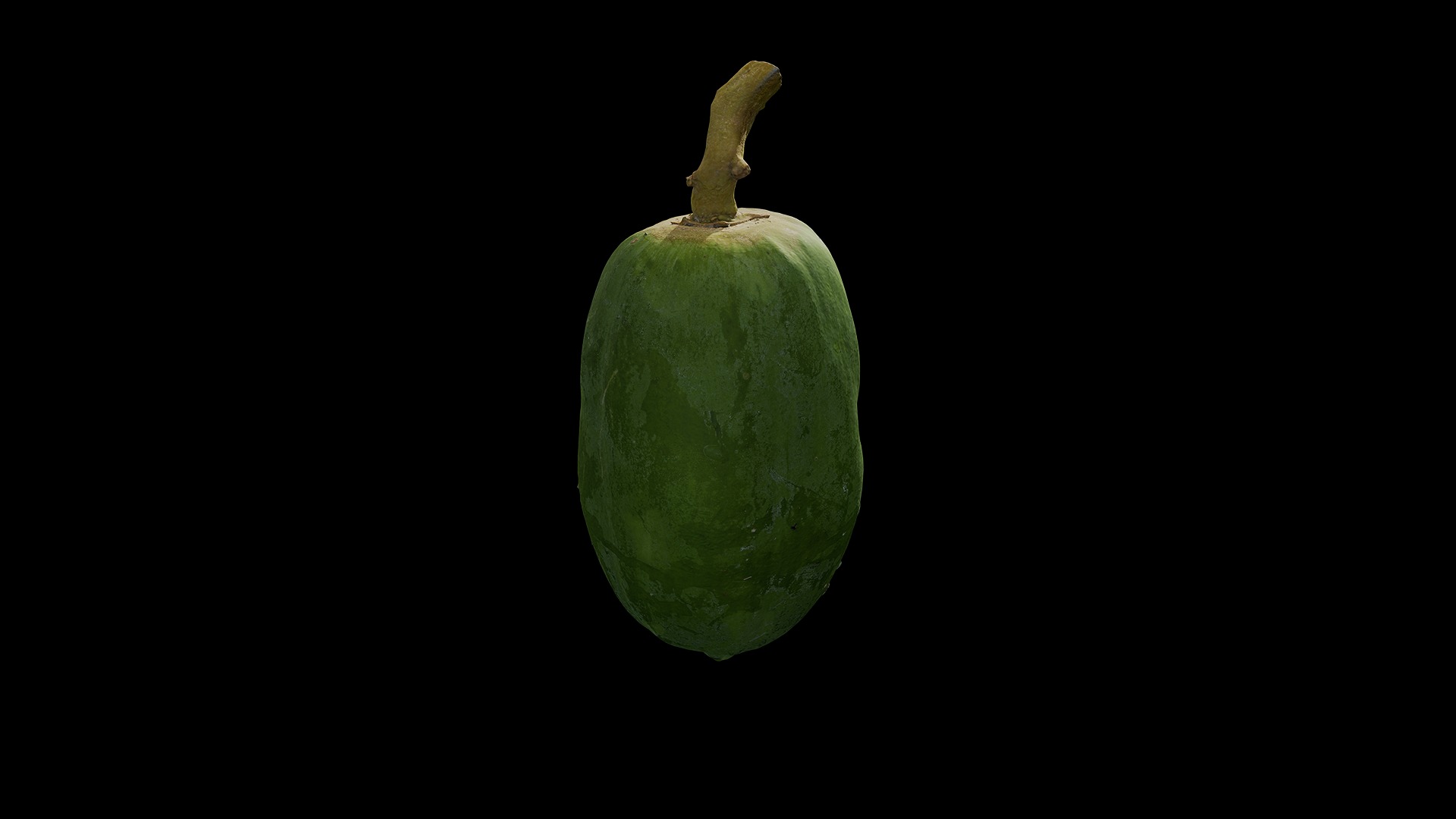 Anydrafts Carica papaya 01 Low-poly 3D model_8