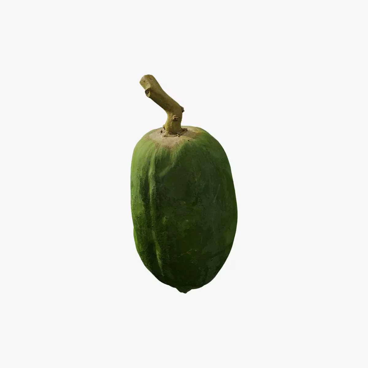 Anydrafts Carica papaya 01 Low-poly 3D model_0