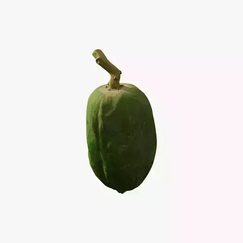 Anydrafts Carica papaya 01 Low-poly 3D model
