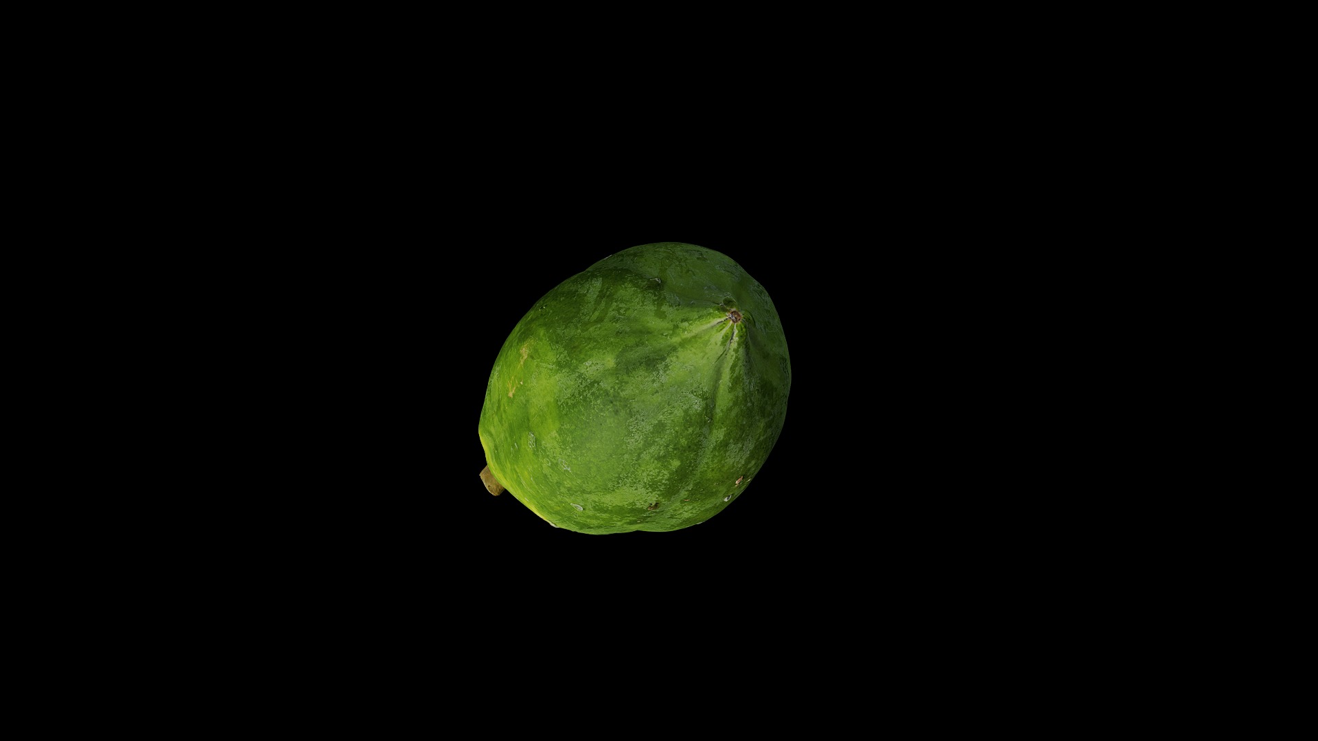 Anydrafts Carica papaya 01 Low-poly 3D model_7