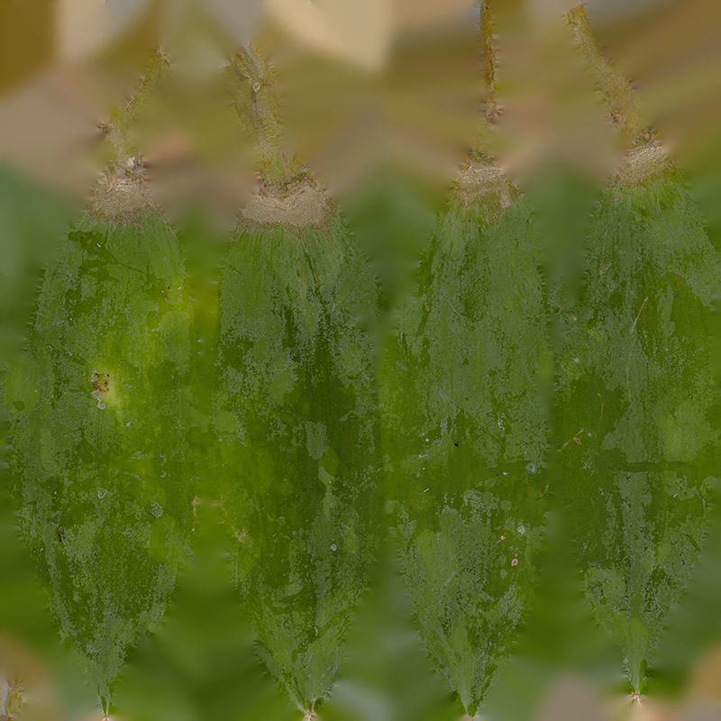 Anydrafts Carica papaya 01 Low-poly 3D model_1