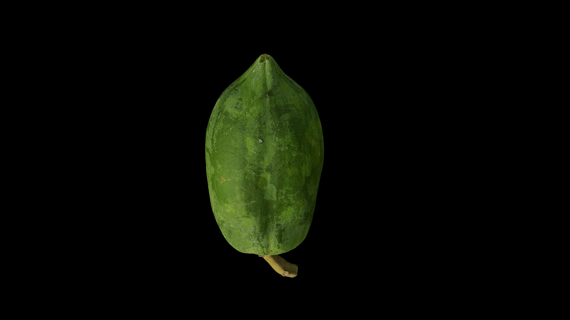 Anydrafts Carica papaya 01 Low-poly 3D model_4