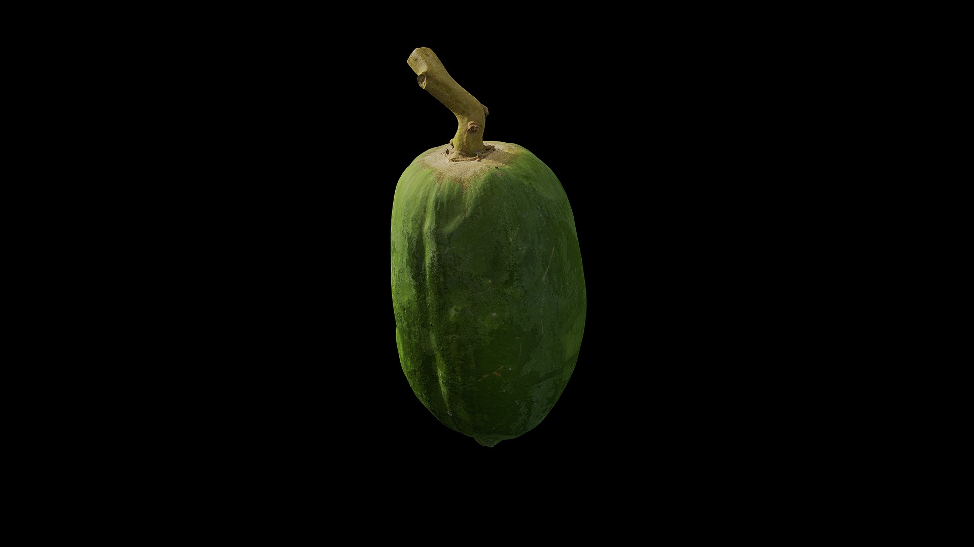 Anydrafts Carica papaya 01 Low-poly 3D model_2