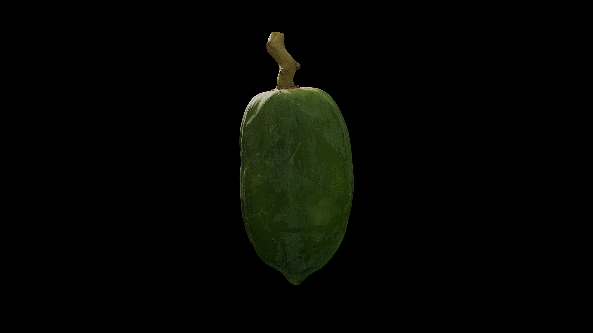 Anydrafts Carica papaya 01 Low-poly 3D model_5
