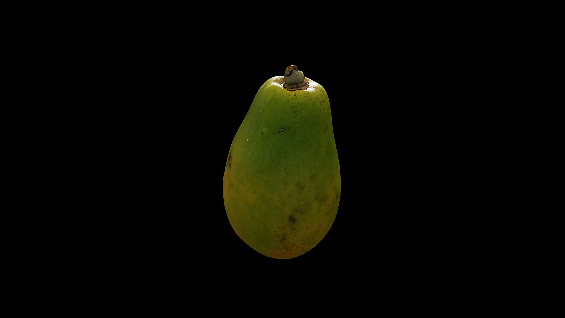 Anydrafts Carica papaya 02 Low-poly 3D model_2