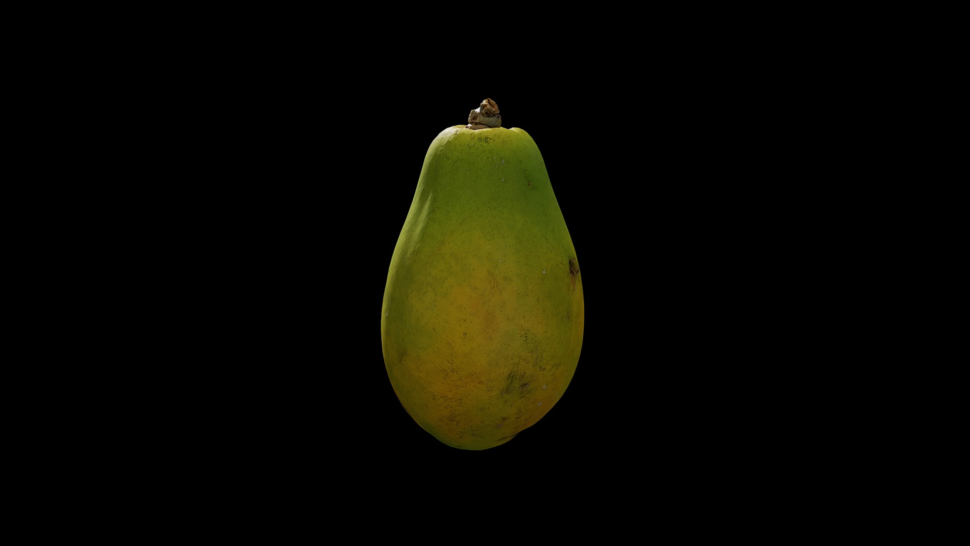 Anydrafts Carica papaya 02 Low-poly 3D model_5