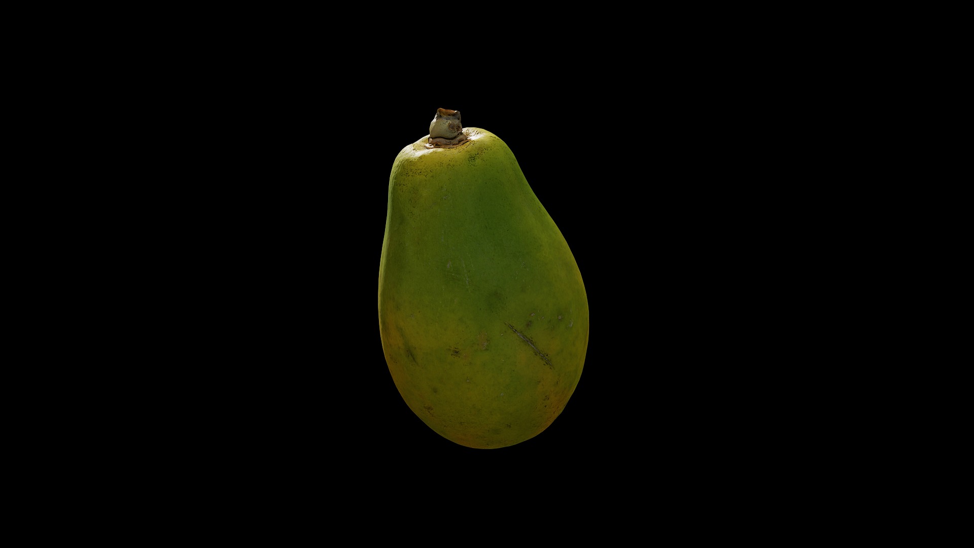 Anydrafts Carica papaya 02 Low-poly 3D model_4