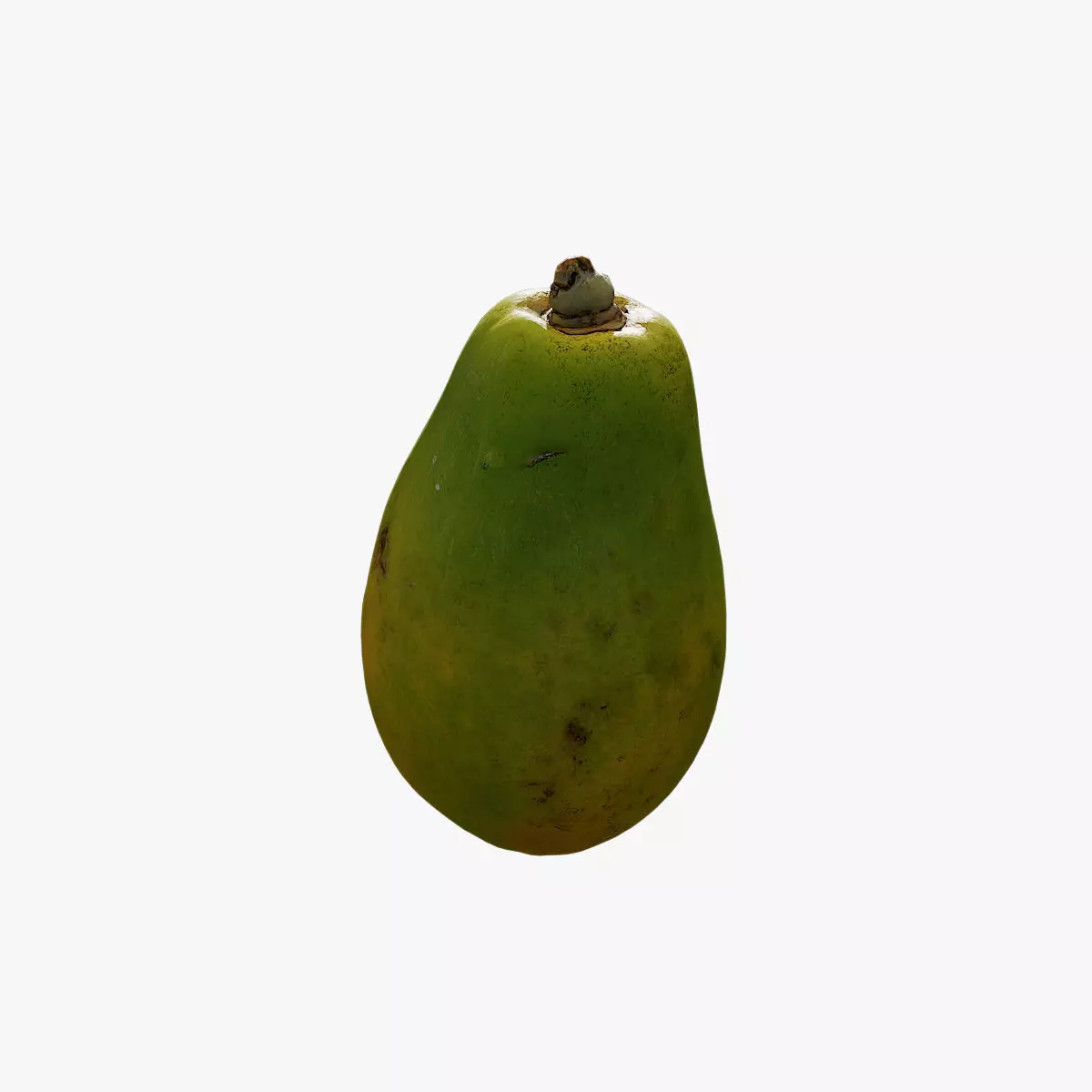 Anydrafts Carica papaya 02 Low-poly 3D model_0