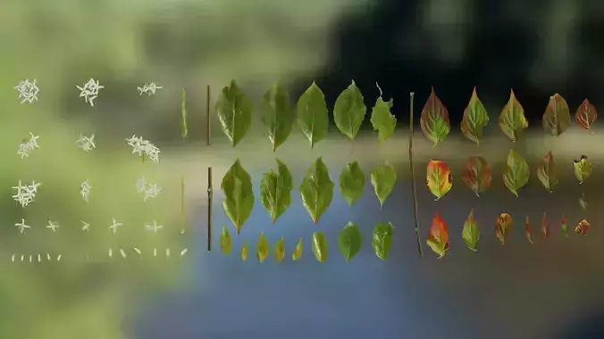 4K Cornus Textures Pack