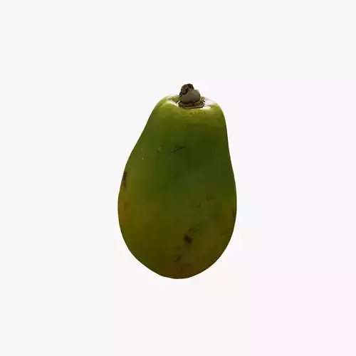 Anydrafts Carica papaya 02 Low-poly 3D model