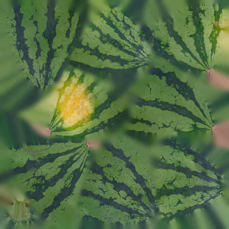 Anydrafts Citrullus lanatus 01 Low-poly 3D model_1