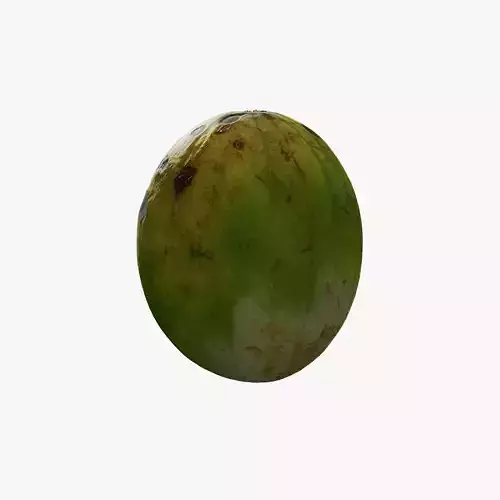 Anydrafts Citrullus lanatus 02