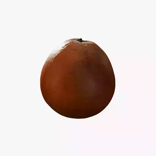 Anydrafts Citrus sinensis 04