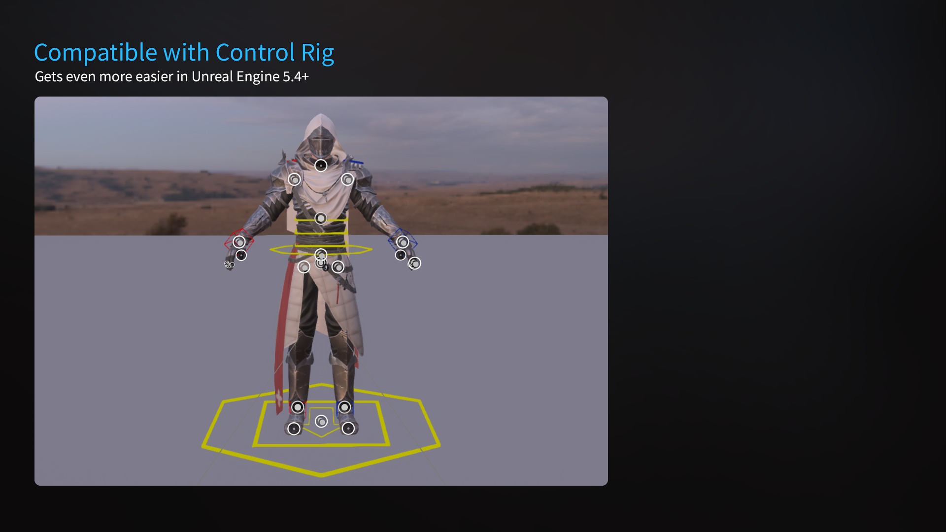 Inquisitor - RPG Dark Fantasy Modular Female and Male Characters Low-poly 3D model_11