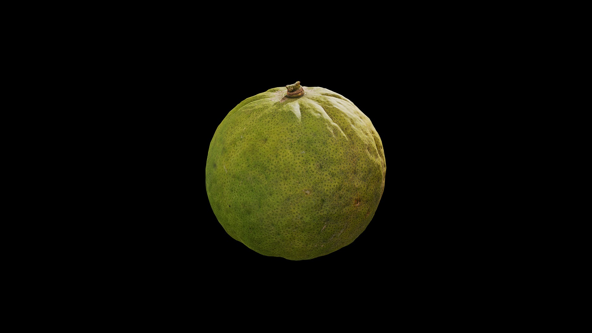 Anydrafts Citrus trifoliata 01 Low-poly 3D model_8