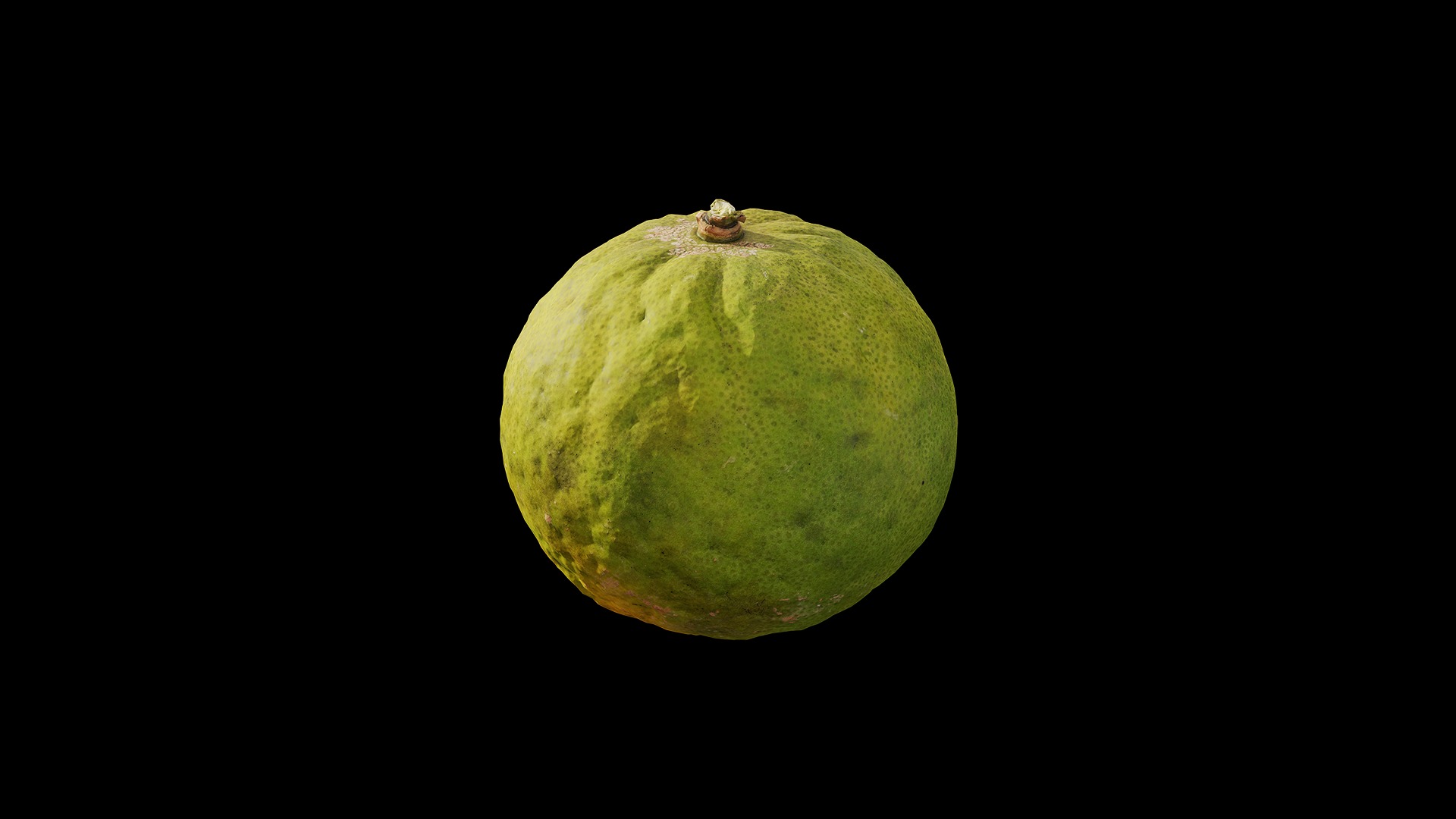 Anydrafts Citrus trifoliata 01 Low-poly 3D model_7