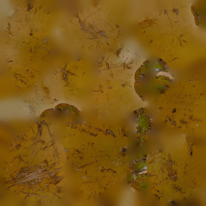 Anydrafts Cocos nucifera 01 Low-poly 3D model_1