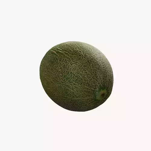 Anydrafts Cucumis melo hami 01 Low-poly 3D model