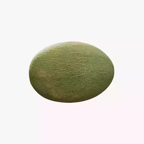 Anydrafts Cucumis melo hami 04 Low-poly 3D model