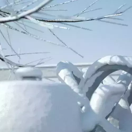 snow plugin for 3ds max 3D print model