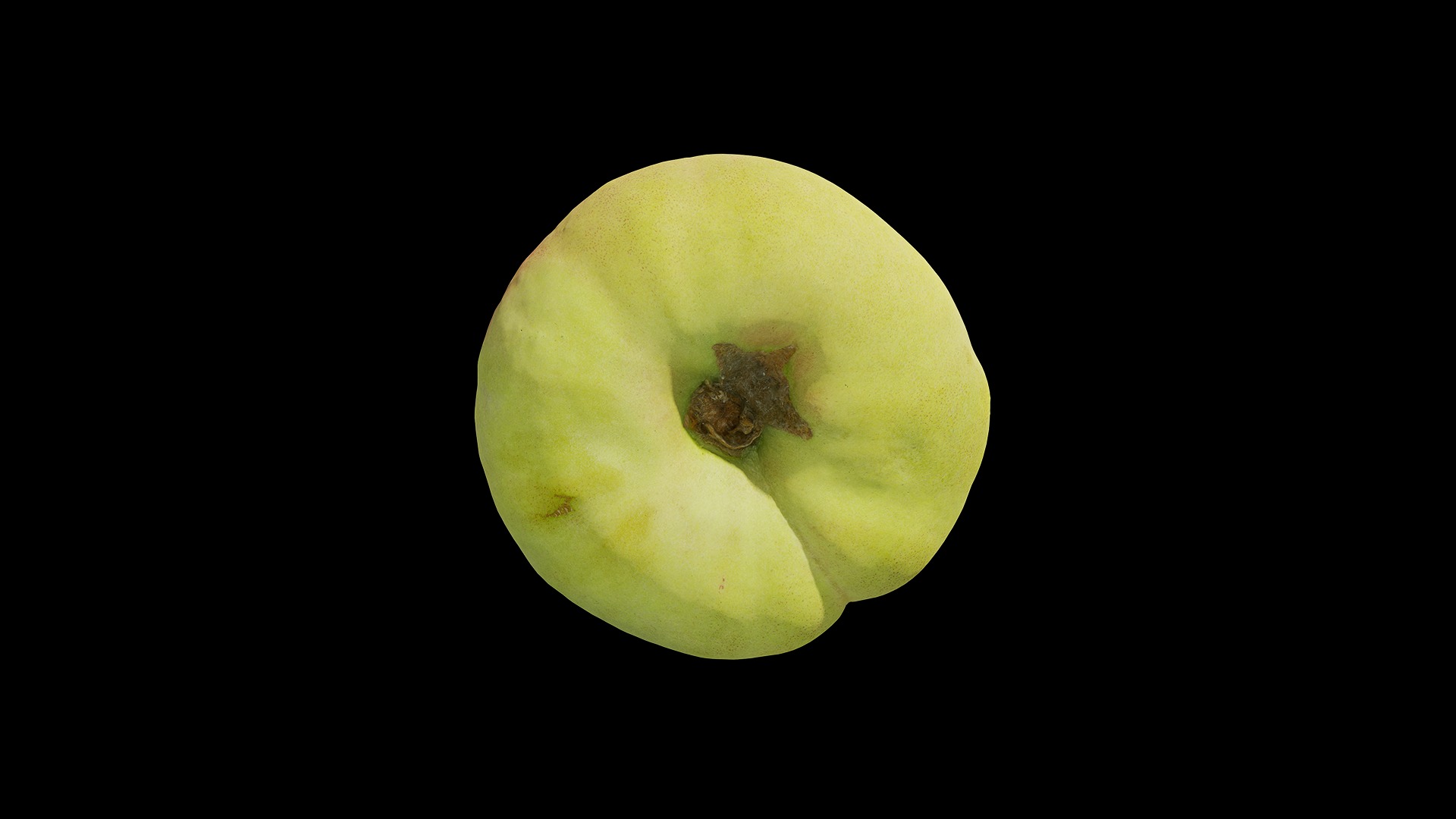 Anydrafts Flat peach 02 Low-poly 3D model_6