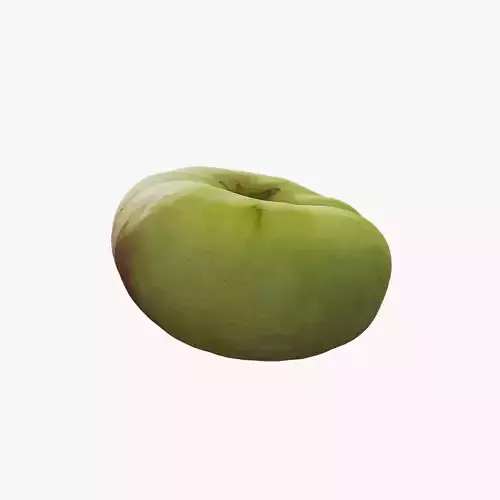 Anydrafts Flat peach 02