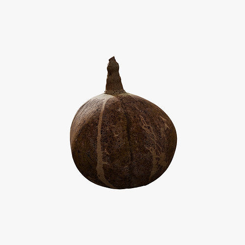 Anydrafts Hydnocarpus hainanensis 02 Low-poly 3D model