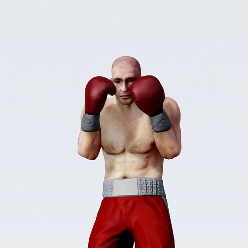 Professional  heavyweight boxer Low-poly 3D model