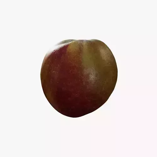 Anydrafts Nectarine 01